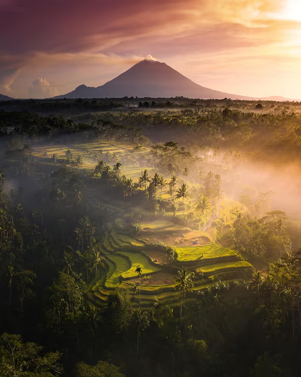 Bali